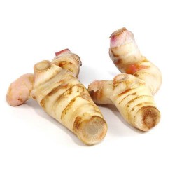 Galangarod 100g