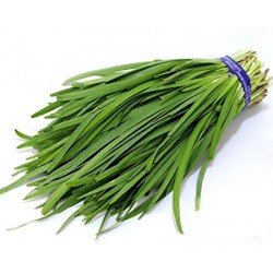 Chinese Garlic Chives 100g