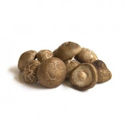 Frisk Shiitake Svampe 200g...