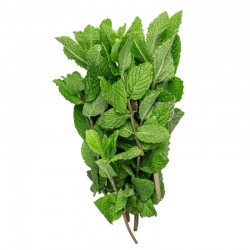 Fresh Mint 100g AEF