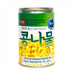 Canned Beansprouts 400g Wang