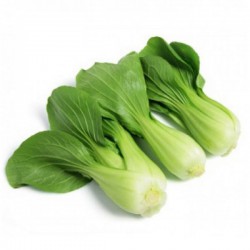 Mini Shanghai Pak Choi -...