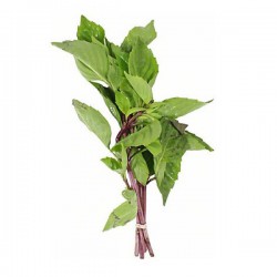 Thai Sweet Basil 70g Thalandia