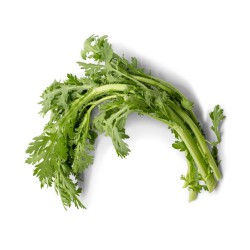 Friske Krysantemumblade...