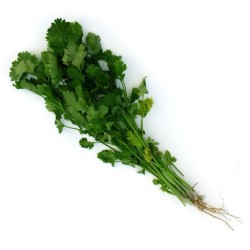 Coriander 50g