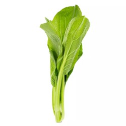Guangdong Kål (Choi Sam) 500g
