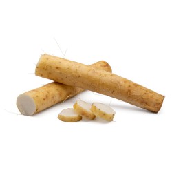 Fresh Chinese Yam (Wai...