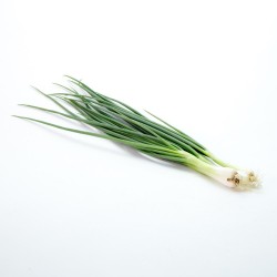 Thai Forårsløg 80g