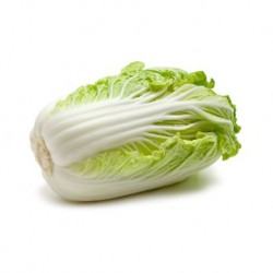 Chinese Cabbage - weighted...