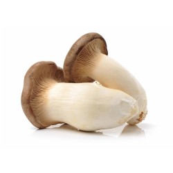 King Oyster Mushrooms 150g DMX