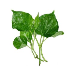 Vild Peber Blade (Cha Plu) 80g