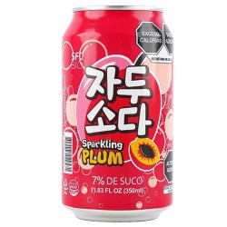 Sparkling Plum Soda 350ml...