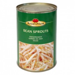 Beansprouts on can 425g...