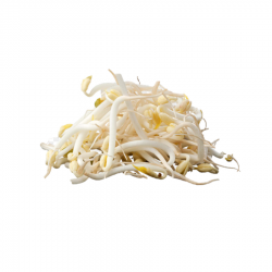 ØKO Bønnespirer 150g Green Now