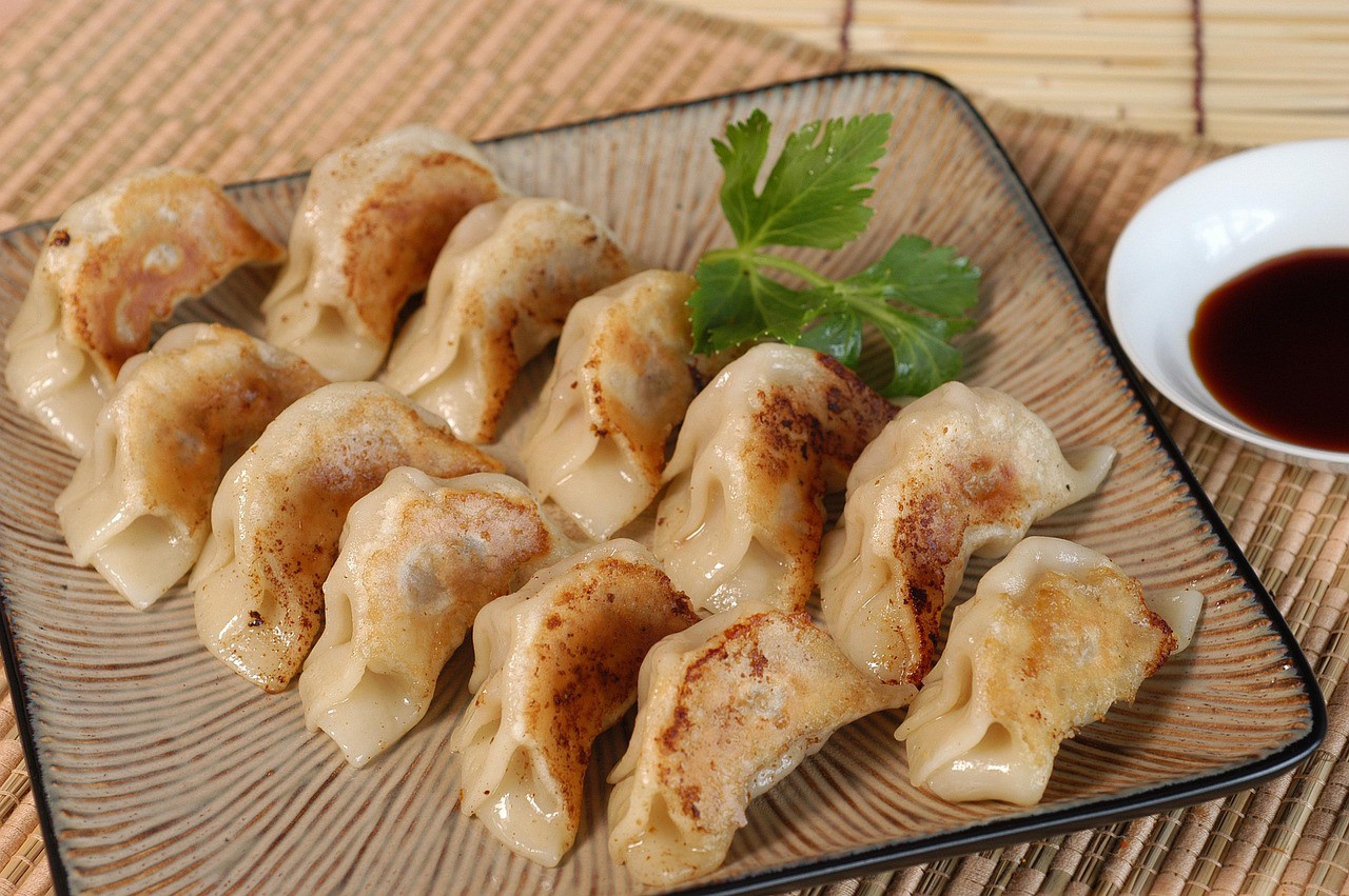 Gyoza dej opskrift